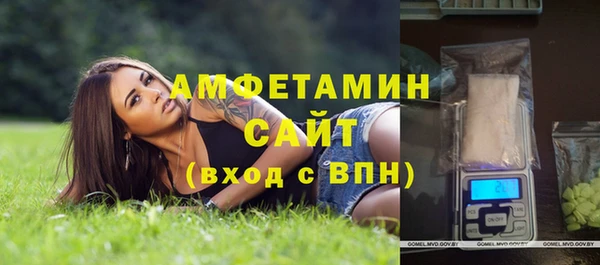 крисы Горняк