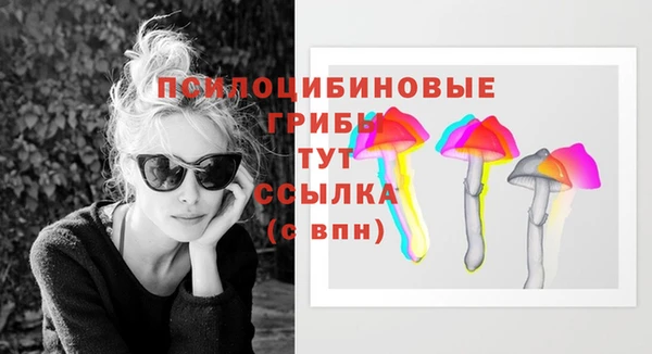крисы Горняк
