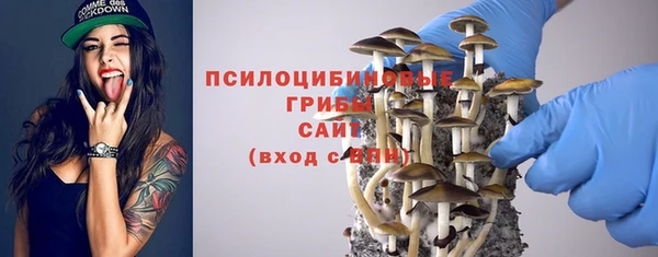 крисы Горняк