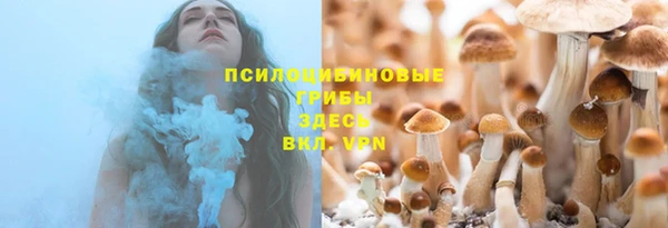 крисы Горняк