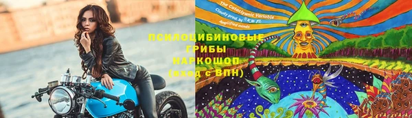 MESCALINE Горно-Алтайск