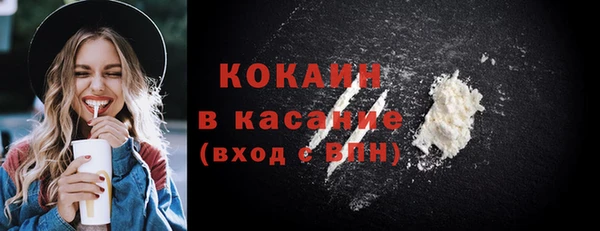 крисы Горняк