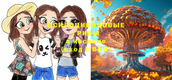 крисы Горняк