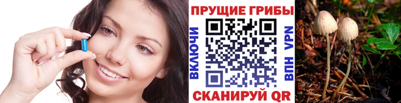 Псилоцибиновые грибы Magic Shrooms  Купить  Абакан 